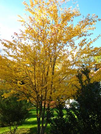 gallery_25508_4796_8534.jpg