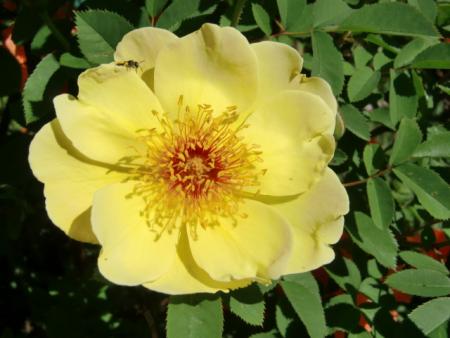 gallery_12789_4771_27077.jpg