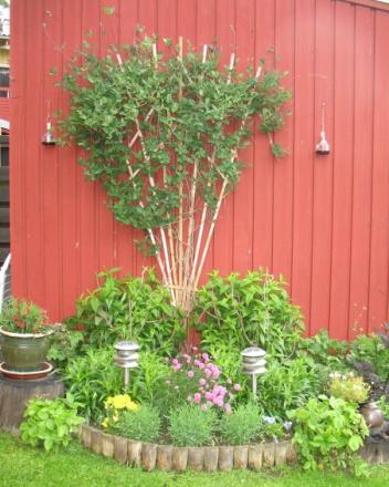 gallery_53006_4808_167275.jpg