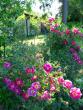 tn_gallery_276_1640_113722.jpg
