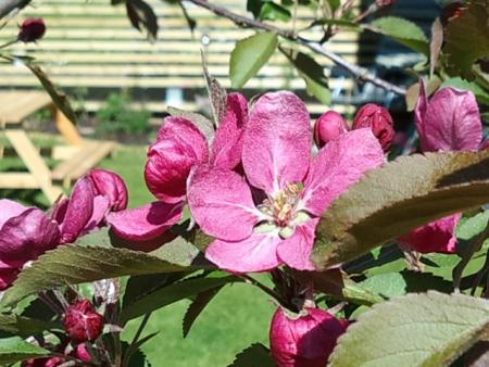 gallery_54645_4823_2119.jpg