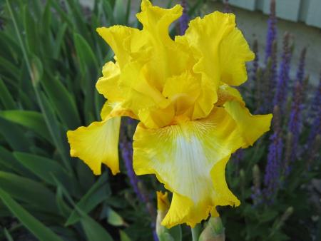 gallery_805_4821_110757.jpg