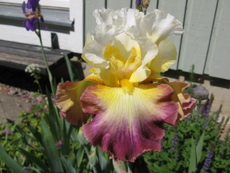 gallery_805_4821_127295.jpg