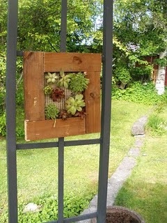 gallery_47926_4832_24428.jpg
