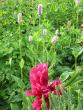 tn_gallery_47068_4833_14459.jpg