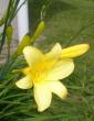 tn_gallery_47926_4832_38343.jpg