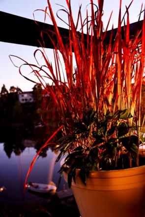 gallery_41048_4705_56176.jpg