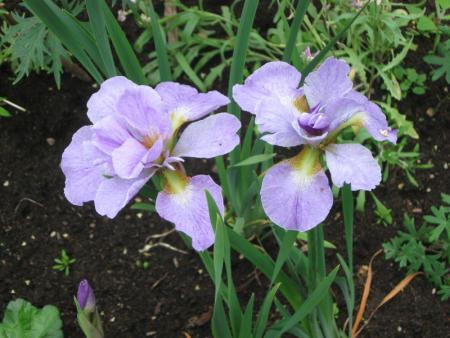 gallery_10539_2455_28005.jpg