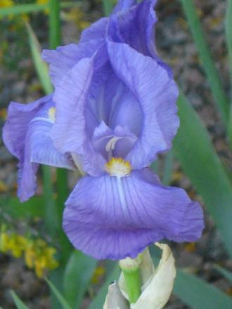gallery_10539_2455_28170.jpg