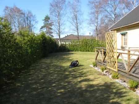 gallery_10539_4856_166981.jpg