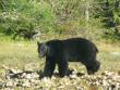 tn_gallery_41048_4857_23054.jpg