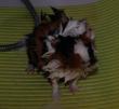 tn_gallery_2529_1143_9153.jpg