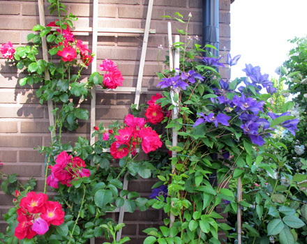 gallery_276_1250_12989.jpg