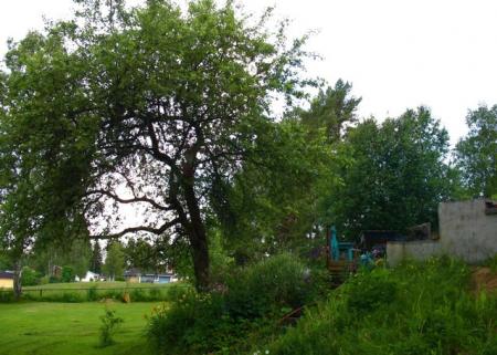 gallery_10247_4866_22961.jpg