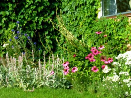 gallery_10247_4867_18530.jpg