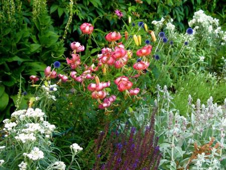 gallery_10247_4867_52470.jpg