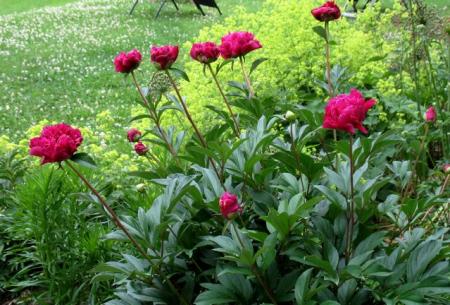 gallery_10247_4867_73869.jpg
