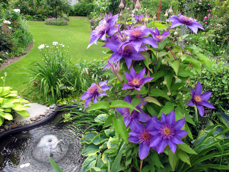 gallery_276_1322_40016.jpg