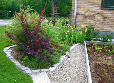 gallery_10247_4866_49924.jpg
