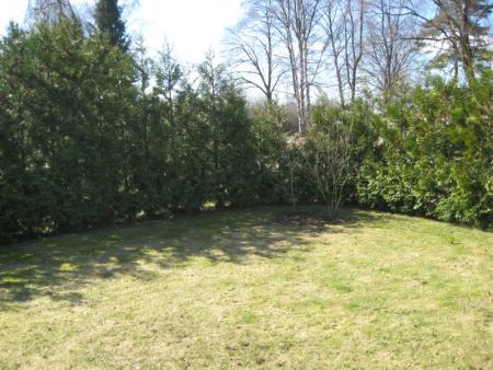 gallery_10539_4878_124185.jpg
