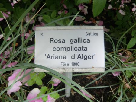 gallery_12789_3412_63446.jpg