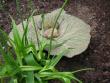 tn_gallery_41048_4713_13344.jpg