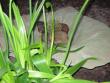 tn_gallery_41048_4713_9323.jpg