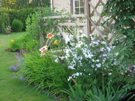 gallery_10539_4856_125591.jpg
