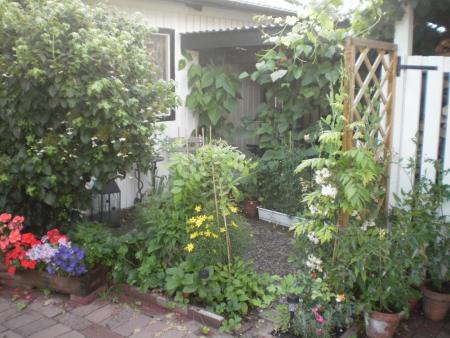 gallery_22598_4892_449428.jpg