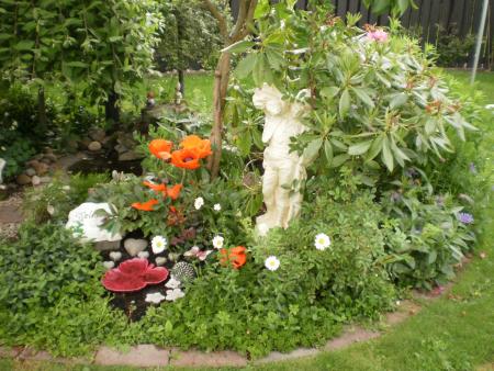 gallery_22598_4892_311727.jpg