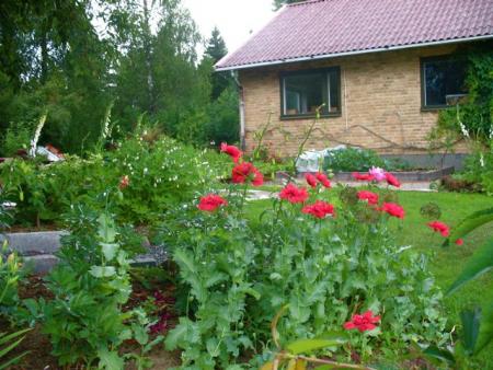 gallery_10247_4866_12885.jpg