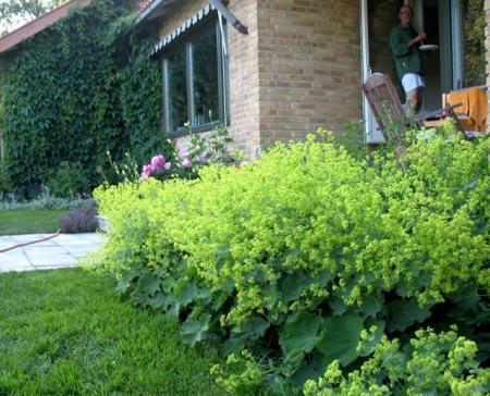 gallery_10247_4866_21769.jpg