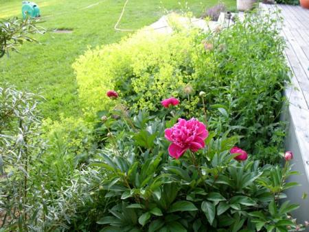 gallery_10247_4866_40267.jpg