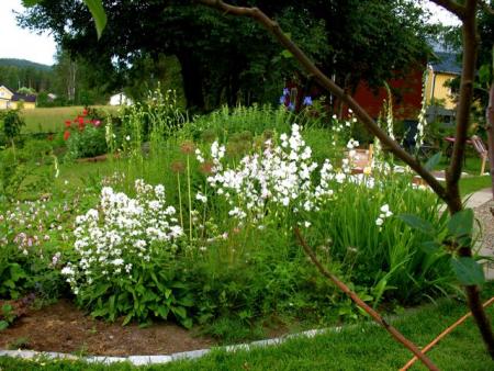 gallery_10247_4866_98138.jpg
