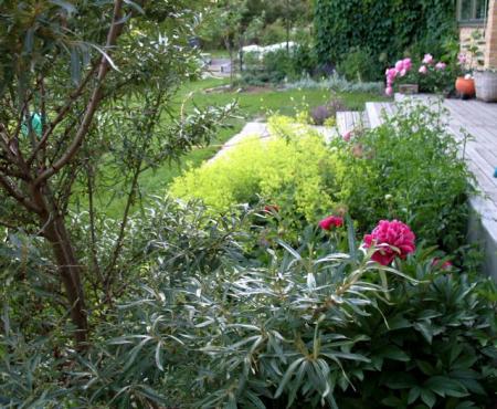 gallery_10247_4866_99871.jpg