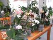 tn_gallery_2682_4037_93678.jpg