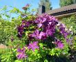 tn_gallery_276_1322_72519.jpg