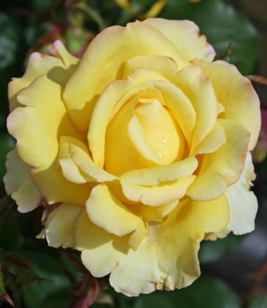 gallery_54122_4909_56984.jpg