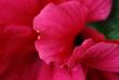 tn_gallery_32739_4933_37829.jpg