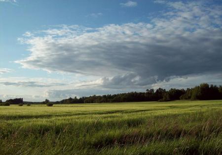 gallery_68454_4936_119690.jpg