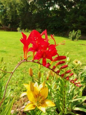 gallery_47926_4832_36043.jpg