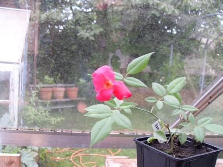 gallery_20295_3065_140939.jpg