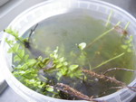 gallery_25627_4966_20395.jpg