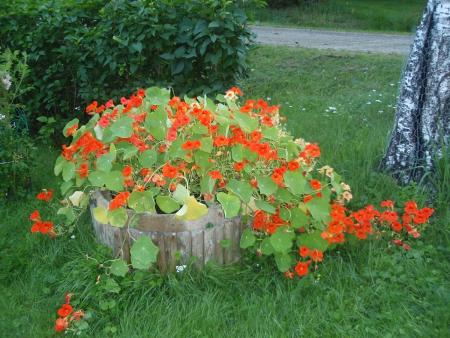 gallery_9983_597_26360.jpg