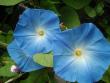 tn_gallery_9983_597_92948.jpg
