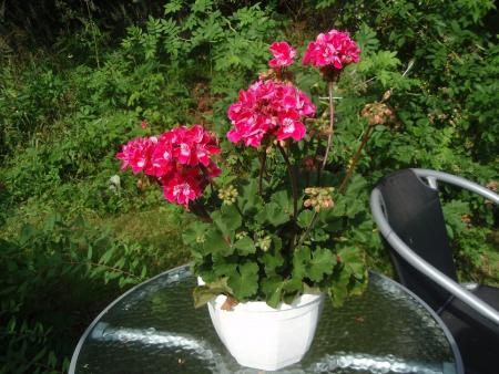 gallery_9983_1626_326234.jpg