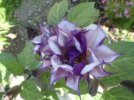 gallery_9983_4864_138800.jpg