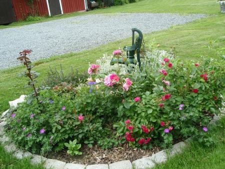 gallery_9983_4864_198135.jpg