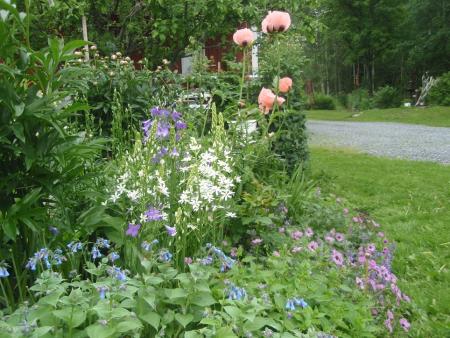 gallery_9983_4864_362533.jpg