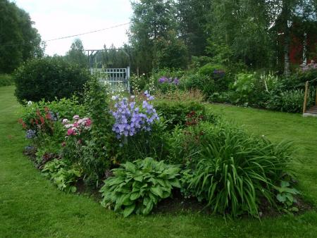 gallery_9983_4864_64041.jpg